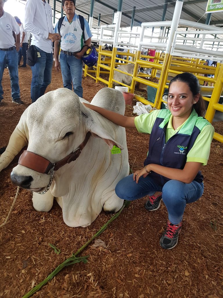 Cr&eacute;dito agropecuario